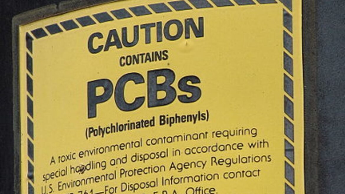 PCBs o bifenilos policlorados